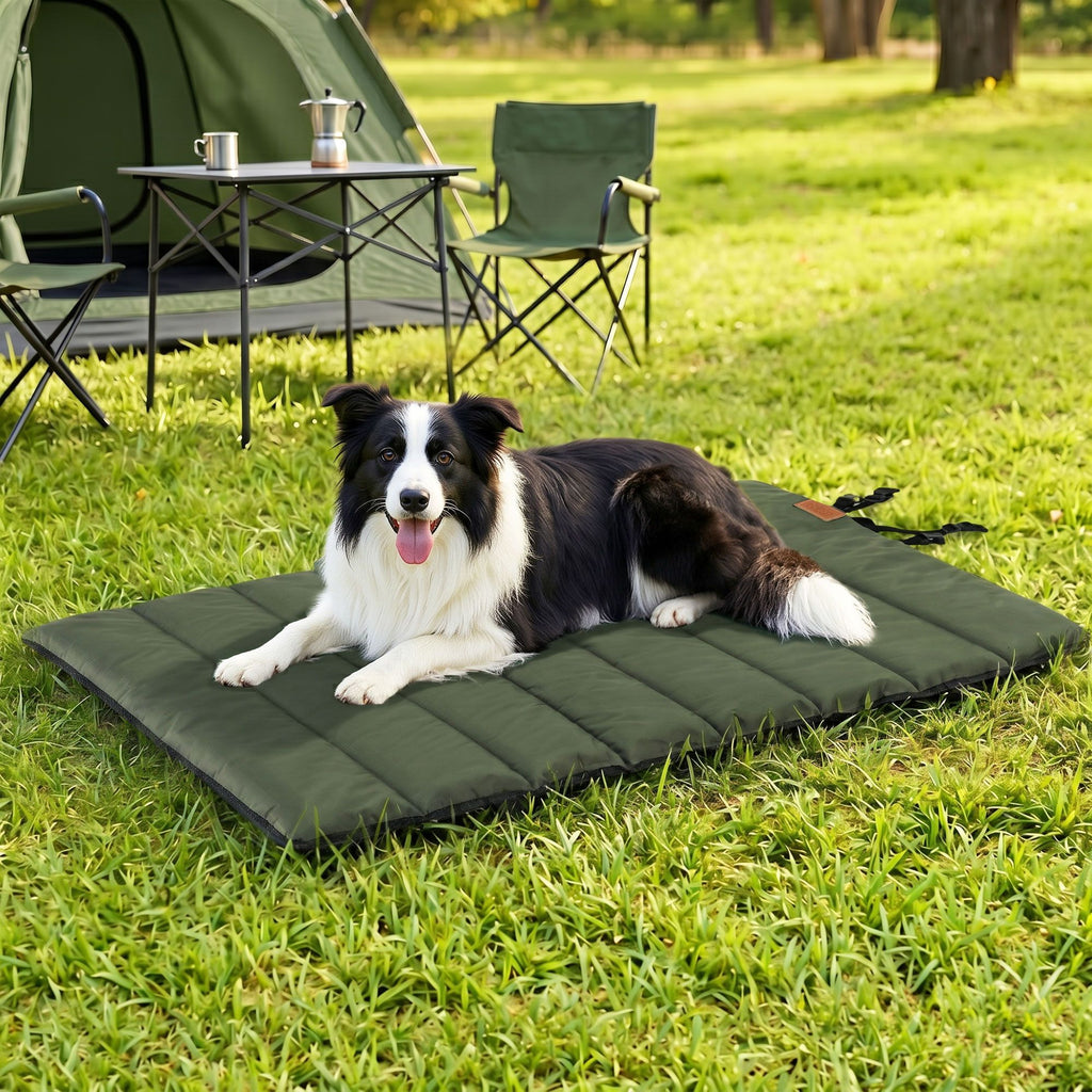 Roll-Up Outdoor Dog Mat (Large, Green)