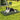 Roll-Up Outdoor Dog Mat (Large, Green)