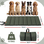 Roll-Up Outdoor Dog Mat (Large, Green)