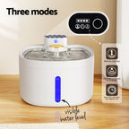 Automatic Water Fountain (2.6L)