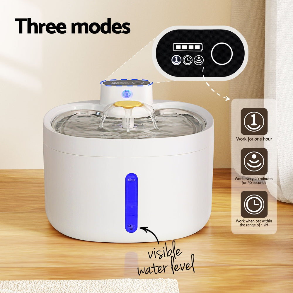 Automatic Water Fountain (2.6L)