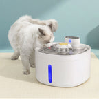 Automatic Water Fountain (2.6L)
