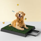 Grass Potty Tray (2 Mats)