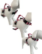 Padded Dog Harness (Medium, Sweet Green)