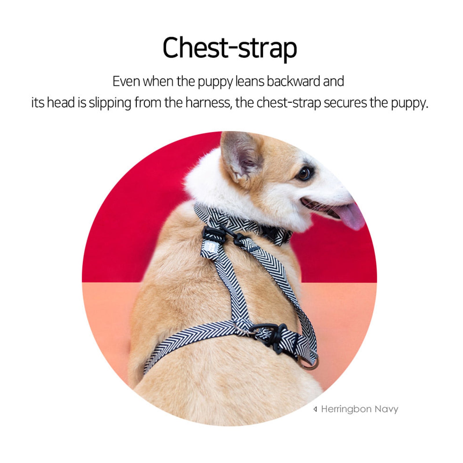 Padded Dog Harness (Medium, Sweet Green)