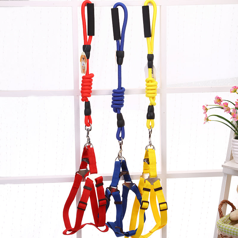 Harness, Collar & Lead Set (Medium, 2 Pack)