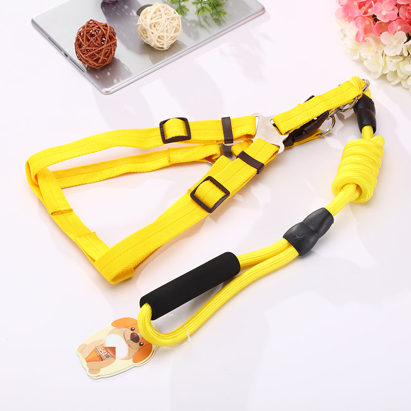 Harness, Collar & Lead Set (Medium, 2 Pack)