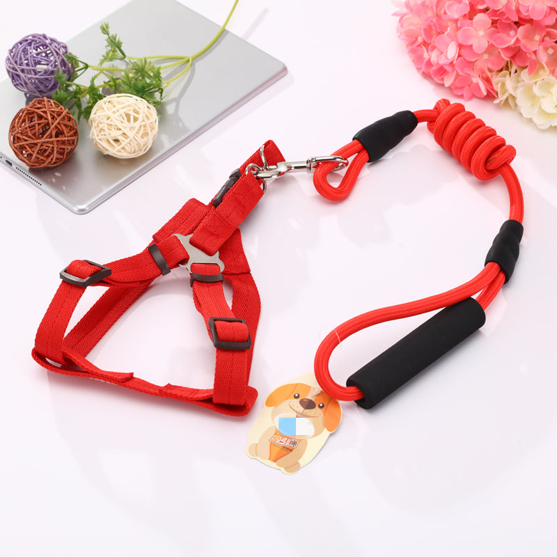 Harness, Collar & Lead Set (Medium, 2 Pack)