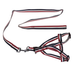 Harness, Collar & Lead Set (Large, 2 Pack)