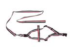 Harness, Collar & Lead Set (Large, 2 Pack)