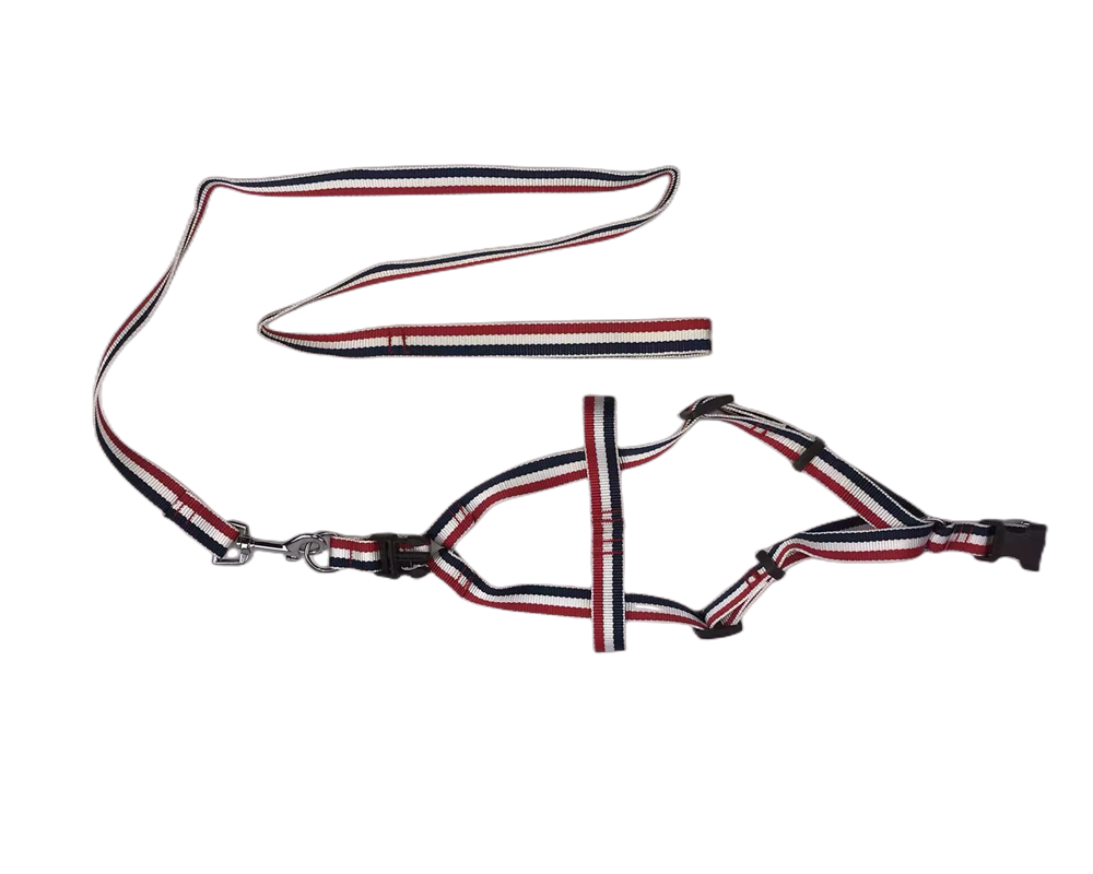 Harness, Collar & Lead Set (Large, 2 Pack)