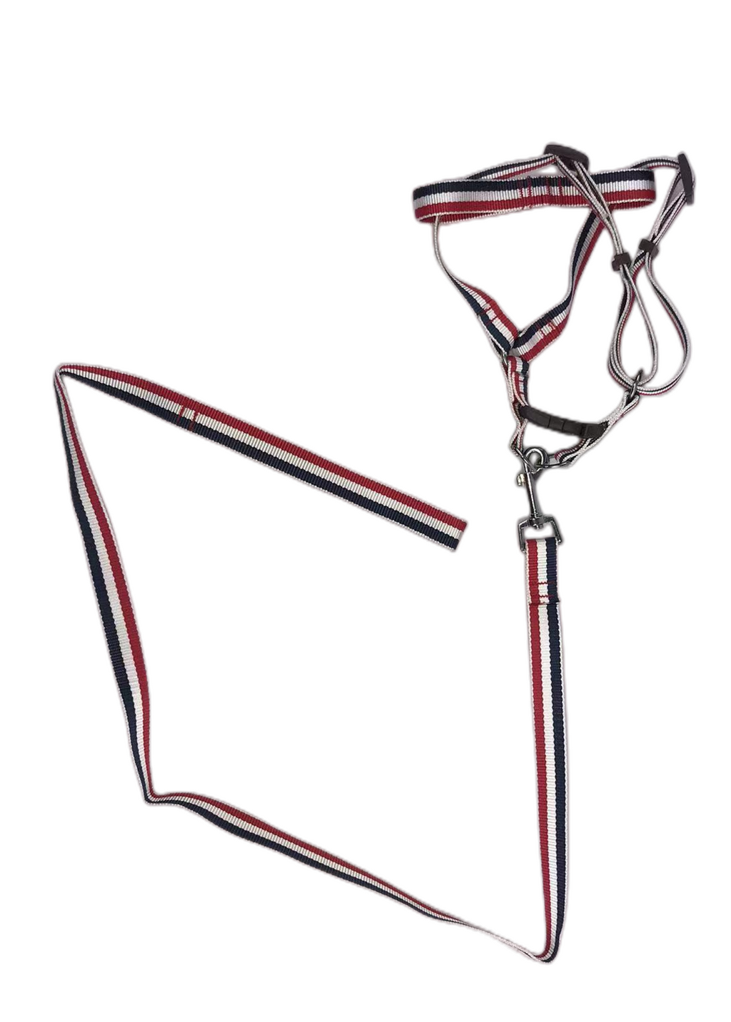 Harness, Collar & Lead Set (Large, 2 Pack)