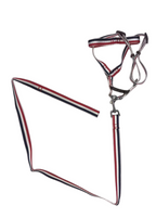 Harness, Collar & Lead Set (Large, 2 Pack)