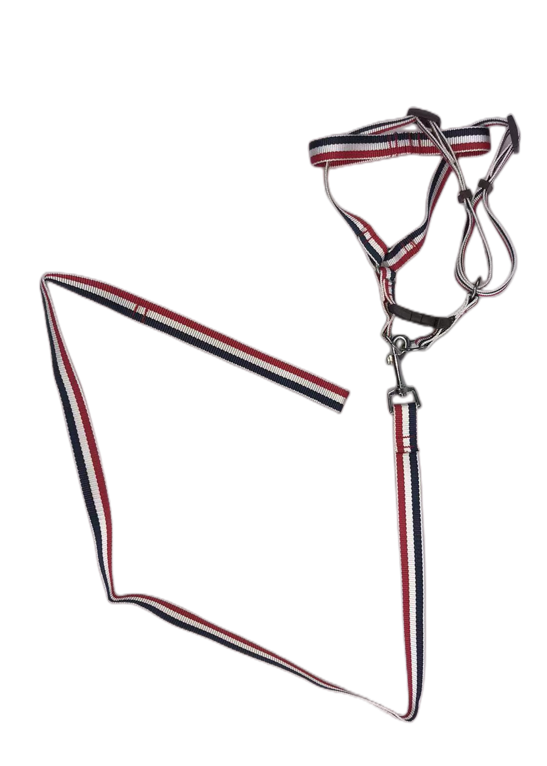 Harness, Collar & Lead Set (Large, 2 Pack)