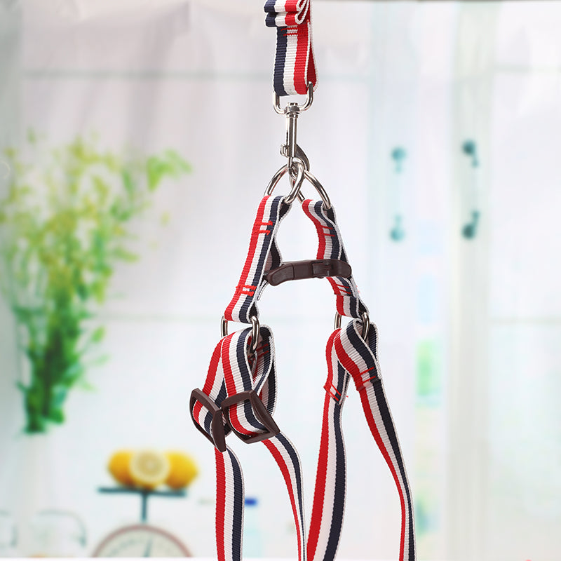 Harness, Collar & Lead Set (Large, 2 Pack)