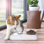Non-Slip Pet Bowl