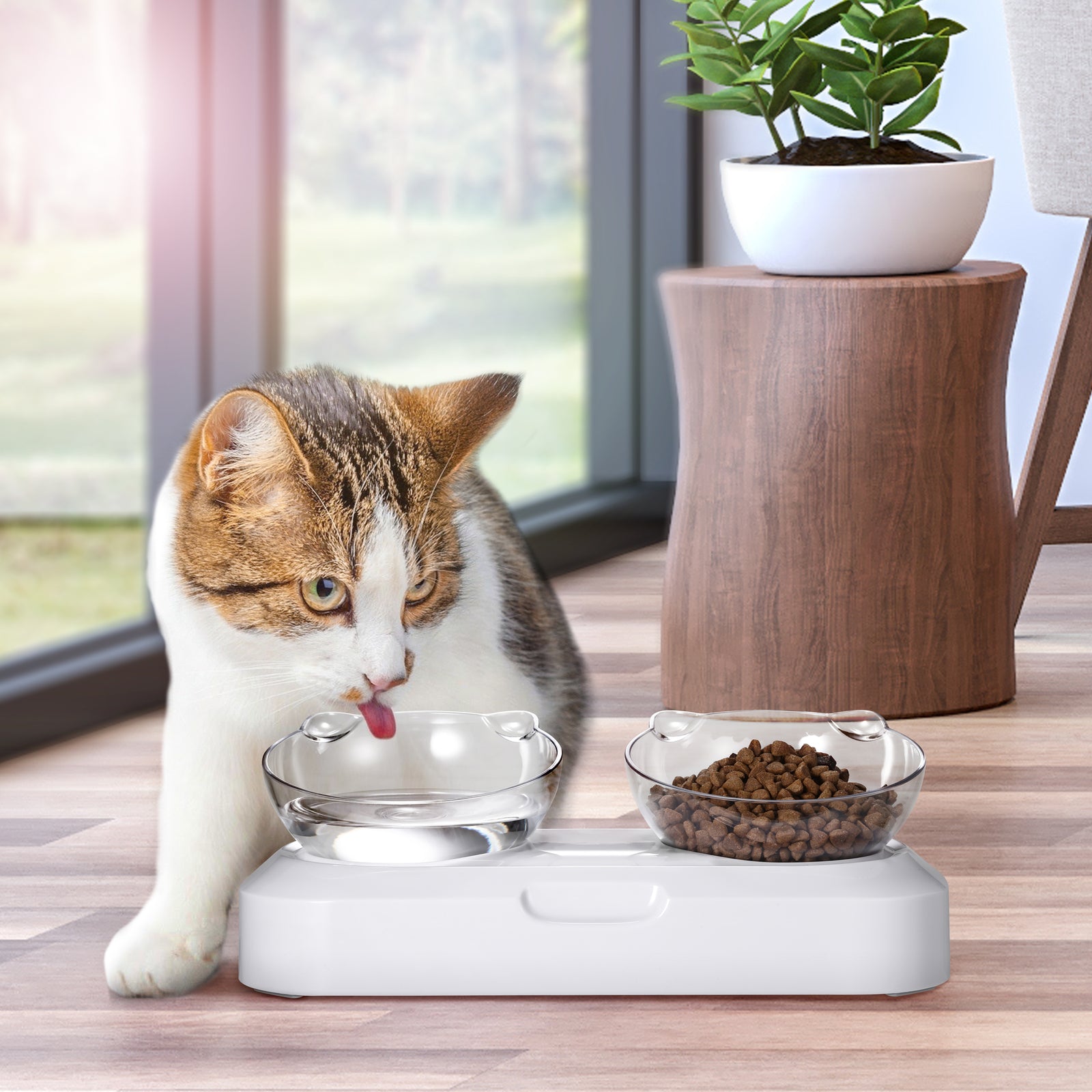 Non-Slip Pet Bowl