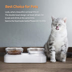 Non-Slip Pet Bowl
