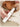 4-in-1 Clipper & Nail Grinder Kit
