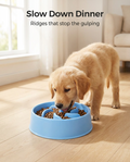 Golden retriever puppy eating from the blue slow feeder bowl on a wooden floor