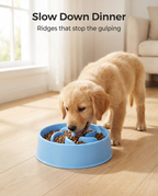 Golden retriever puppy eating from the blue slow feeder bowl on a wooden floor