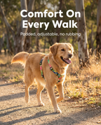 Dog wearing the patterned padded double strap harness on a park path