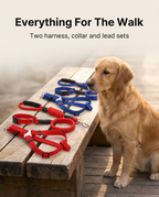 Two harness, collar and lead sets laid out beside a dog ready for a walk