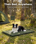 Dog lying on the green roll-up outdoor dog mat at a campsite