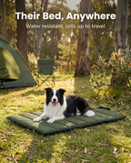 Dog lying on the green roll-up outdoor dog mat at a campsite