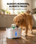 Dog drinking from the 2.5L electric pet water fountain