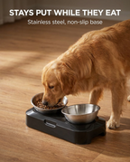 Dog eating from the stainless steel non-slip pet bowl