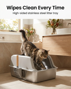 Cat stepping into the large high-sided stainless steel litter tray