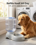 Dog beside the 3.8L gravity pet water dispenser in a laundry