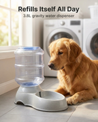 Dog beside the 3.8L gravity pet water dispenser in a laundry