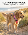 Dog wearing the marble pink padded harness on a beach path