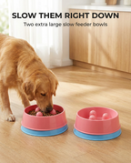 Dog eating from one of two extra large slow feeder bowls